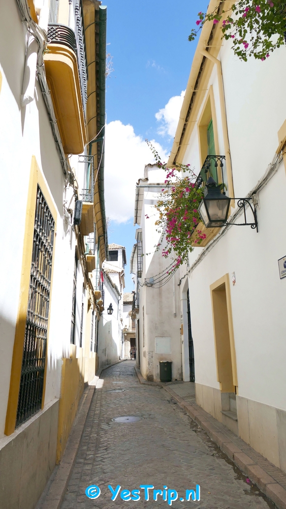 xxx Cordoba, Spain, the town xxx